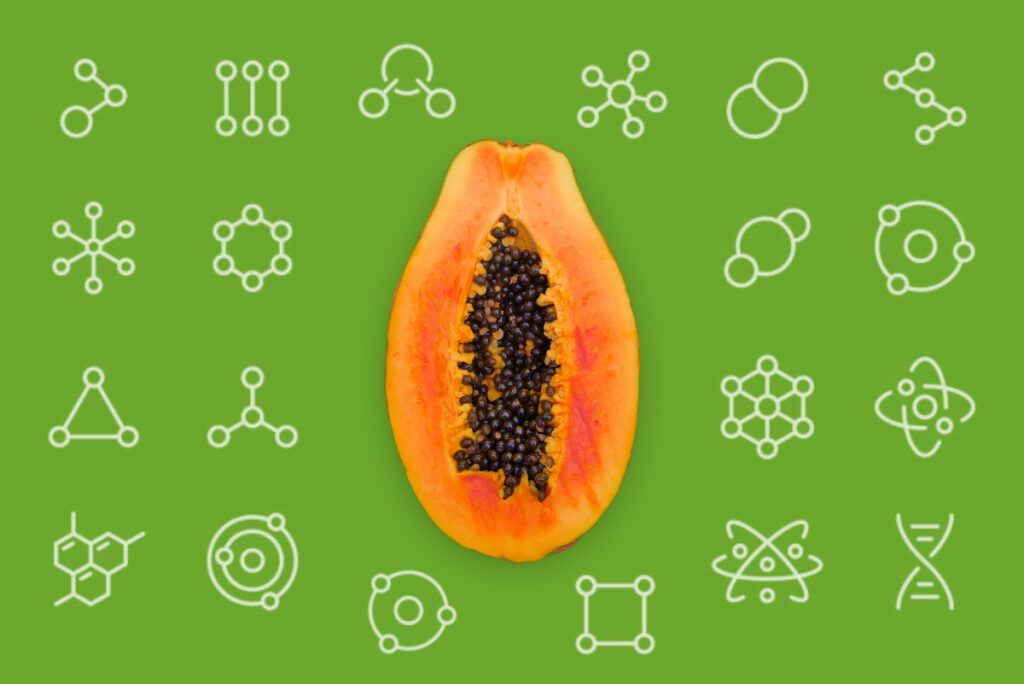 papaya-digestive-enzyme-benefits