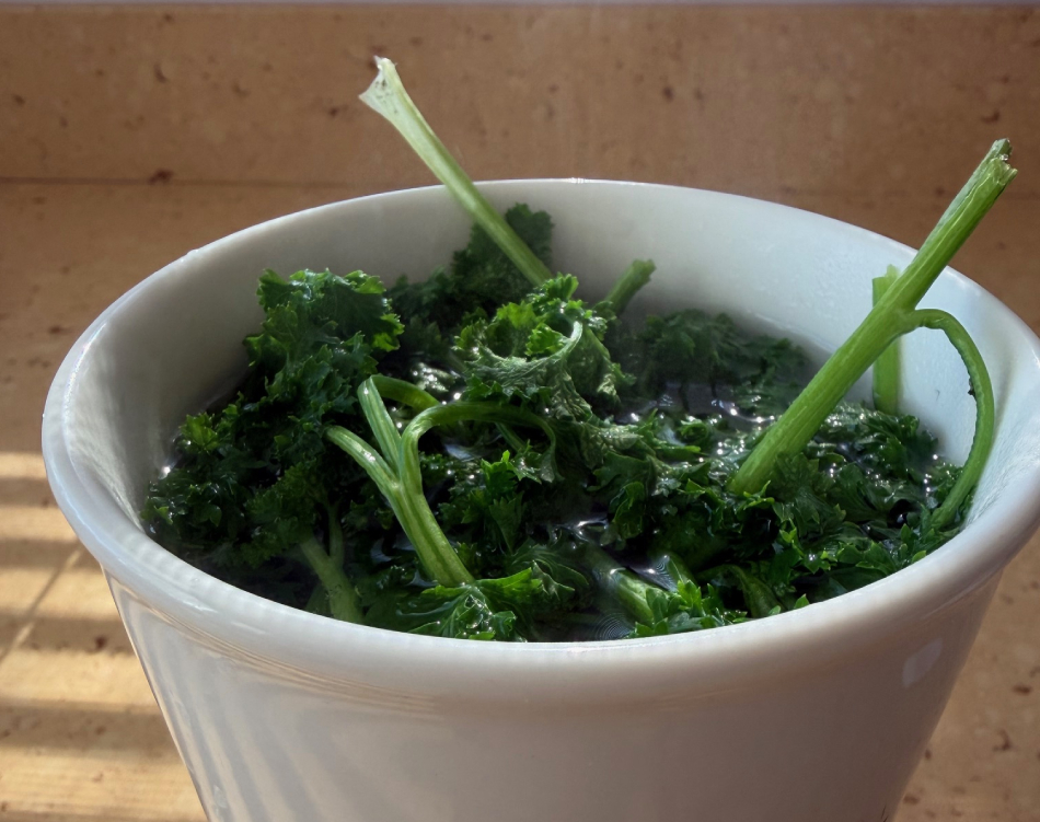 Parsley tea benefits for liver