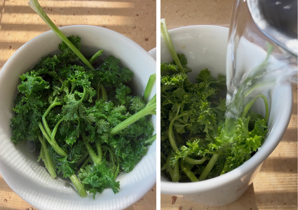 Parsley tea benefits