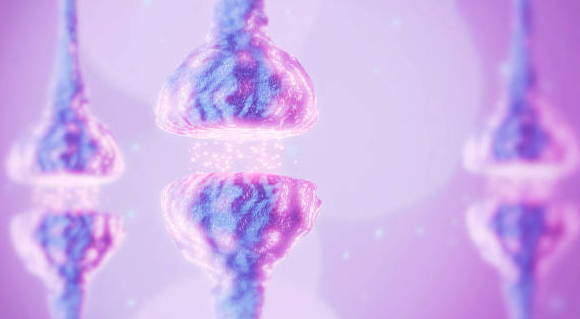 melatonin in cherries