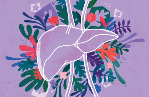 shilajit liver benefits