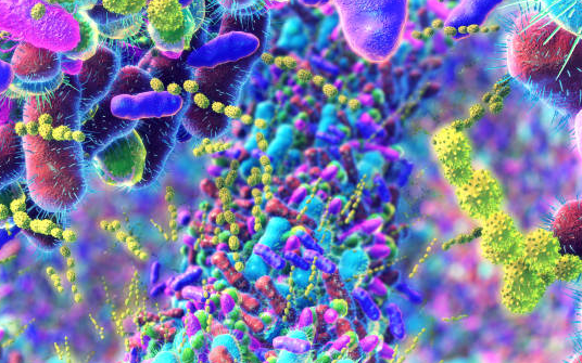 benefits of bile and microbiome