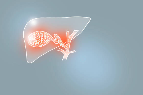 sunflower lecithin gallbladder support