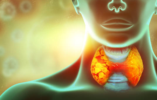 cabbage juice benefits for gut