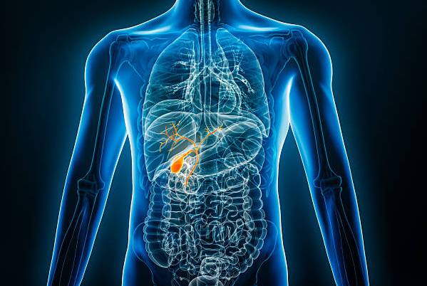 eating beans gallbladder benefits