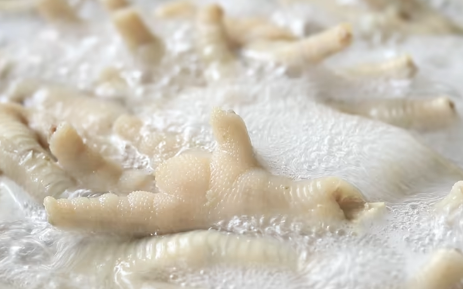 grass fed beef gummy bears