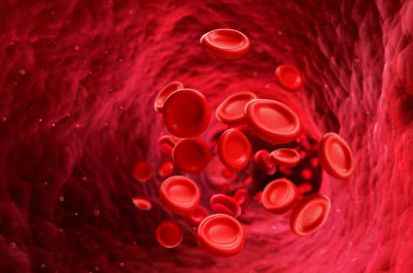grounding effects on blood cells