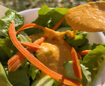 japanese steakhouse ginger salad dressing best recipe