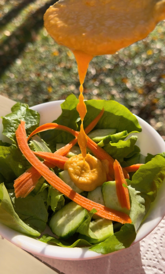 japanese steakhouse style ginger salad dressing