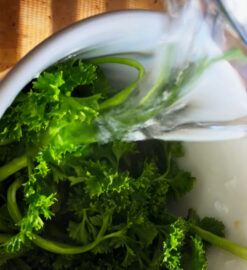 The Benefits of Parsley Tea for Gallbladder Health