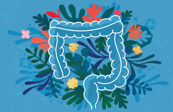 psyllium husk for digestion