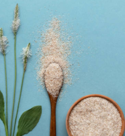 Psyllium Husk for Gallbladder Health: Cholesterol, Bile, Gallstones, and Digestion