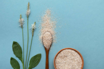 psyllium husk for gallbladder bile support