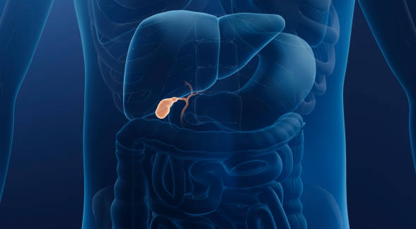 psyllium husk for gallbladder health