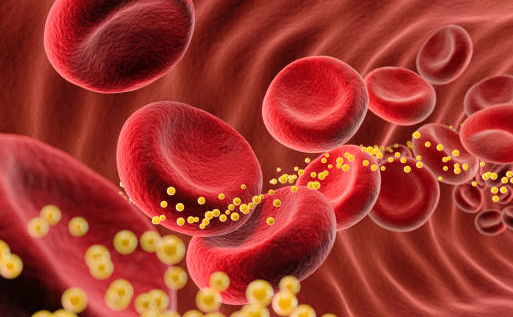 sunflower benefits for cholesterol