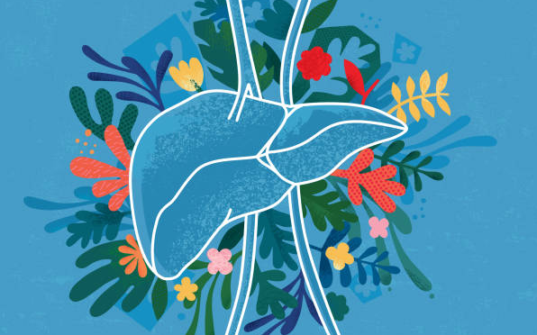 sunflower lecithin liver benefits